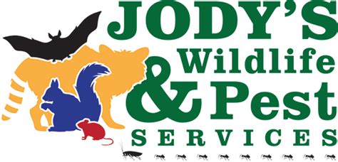 Wildlife control by jp pest services provides professional wildlife removal, relocation & prevention services throughout new england. Pest Control Services in Northwest Indiana - Jody's ...