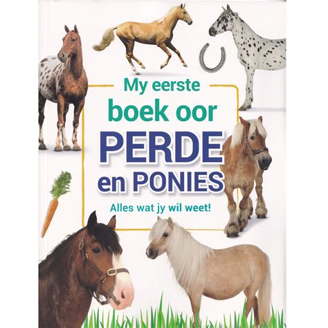 My Eerste Boek Oor Honde The Book Box