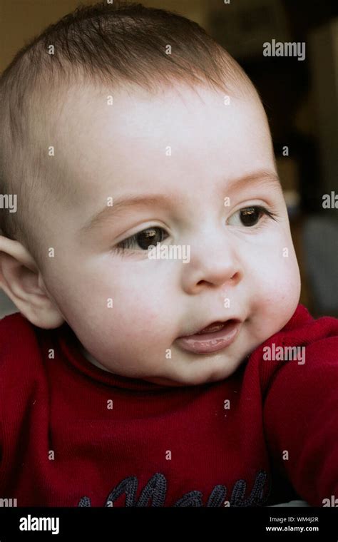 Adorable Six Month Old Baby Boy Looking Off To Side Stock Photo Alamy