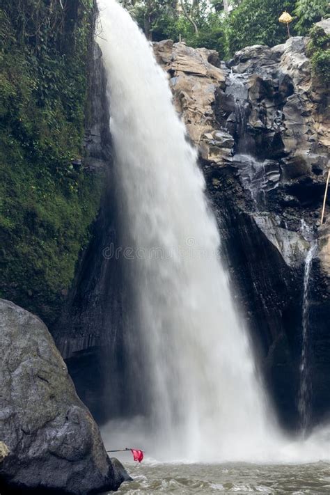 Waterfall Deep In The Tropical Rain Forest Of Ubud Tropical Bali