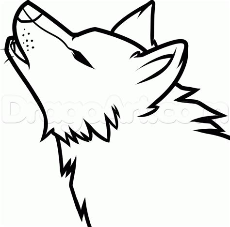 How To Draw A Howling Wolf Easy Step 11 How To Draw Wolf Drawing