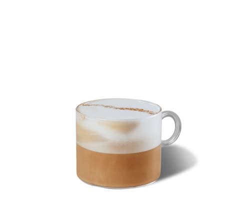 Starbucks Iced Cappuccino Recipe Besto Blog