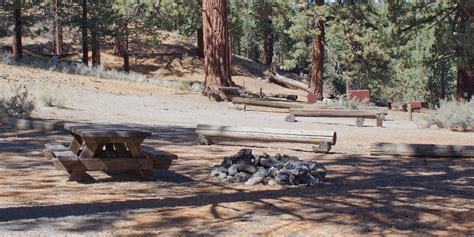 You'll find information on all of the dog friendly campgrounds and rv resorts that allow pets here. Big Springs Campground | Outdoor Project