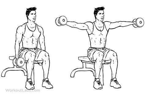 Seated Lateral Dumbbell Raise Illustrated Exercise Guide
