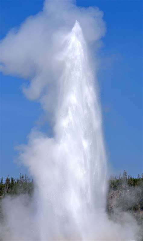Old Faithful Geyser At Yellowstone National Park In Wyoming