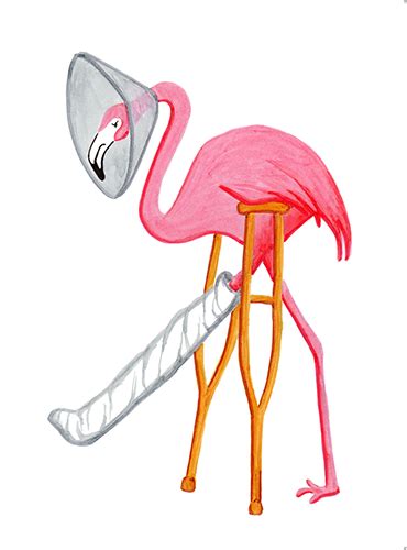 Flamingo Ouch Convalescence Greeting Card Amélie