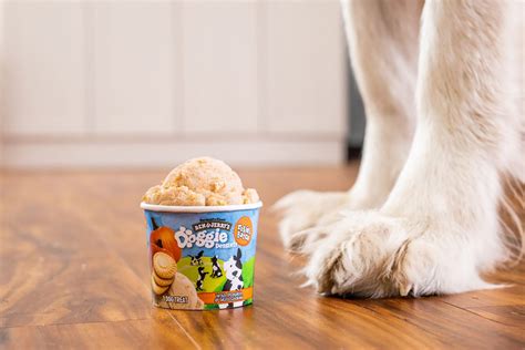 Doggie Desserts Ben And Jerrys Introduces Ice Cream For Dogs Daily Paws