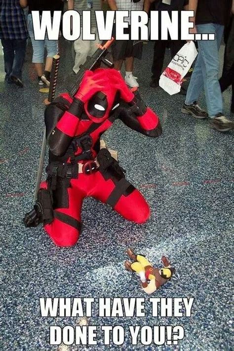 50 Craziest Deadpool Funny Memes That Will Have You Roll On The Floor