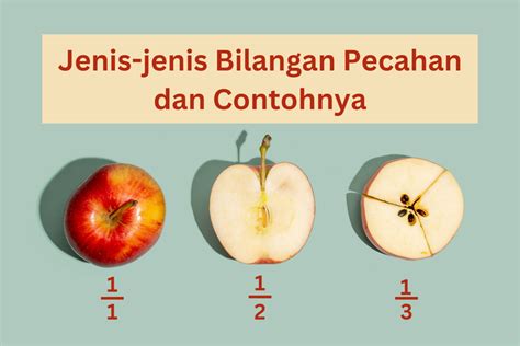 Jenis Jenis Bilangan Pecahan Dan Contohnya Matematika Vrogue Co