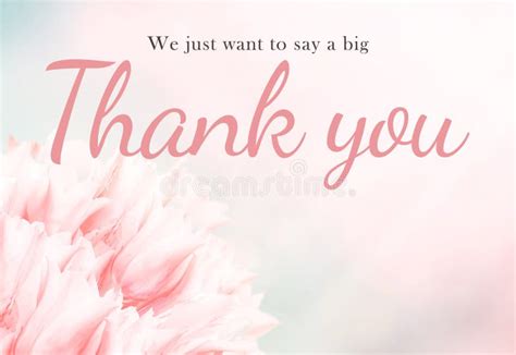 Wedding Thank You Card Pink Tulips Standart Size Stock Photo Image