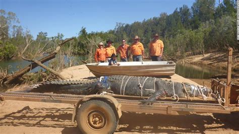 massive crocodile captured by australian rangers after 8 year hunt cnn