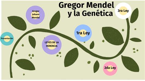 30 Genetica Mendeliana Mapa Conceptual  Nietma