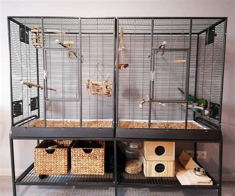 Best Parrot Cages 2021 Review How To Choose A Cage For The Parrot