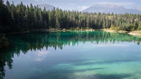 Pristine Alpine Lake With Greenish Colour Surrounded By Forest And