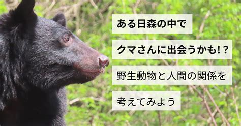 ある日森の中でクマさんに出会うかも！？野生動物と人間の関係を考えてみよう 長野のこのへんサンライン