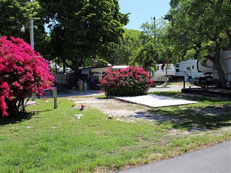 We manage kings kamp rv park in key largo florida directly on florida bay and having a number of rentals including rv sites boat dockage apartments efficiencies studios and hotel rooms. Kings Kamp - Key Largo Florida