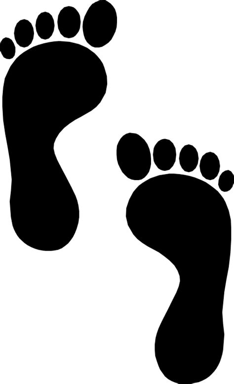 Footprints Png Transparent Image Download Size 502x825px
