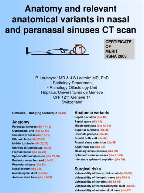 Anatomy And Variants Of The Paranasal Sinuses A Guide For Endoscopic