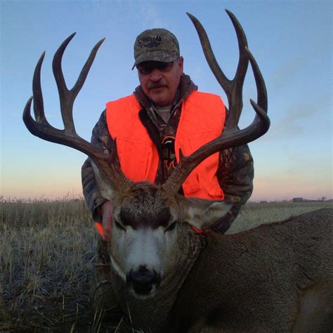 Montana Mule Deer Hunt 10514