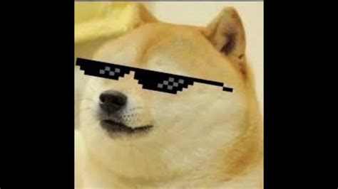 The Doge Song Youtube