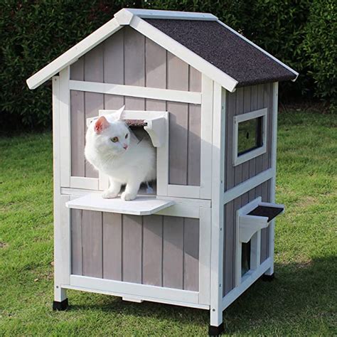 7 Best Outdoor Cat Houses For Multiple Cats 2022