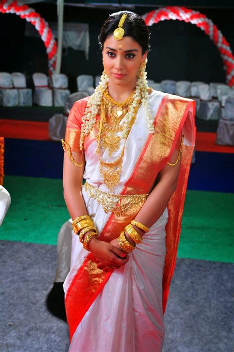 Saree is an indian traditional attire that has gained. Shriya Saran Latest Saree Photos - Latest Movie Updates, Movie Promotions, Branding Online and ...
