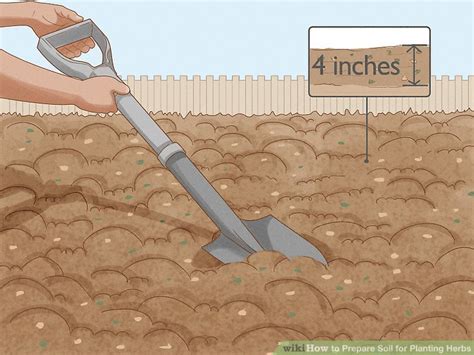 How To Prepare Soil For Planting Herbs 12 Steps With Pictures