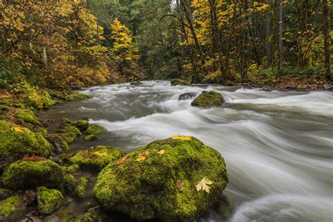 Fall Stream Nisqually River Mount Rainer National Forest Jeff