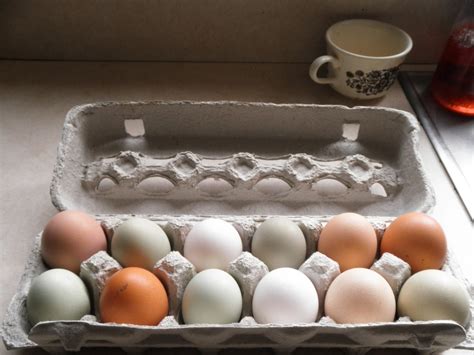 Most Beautiful Eggs Upinngil Farm Journal