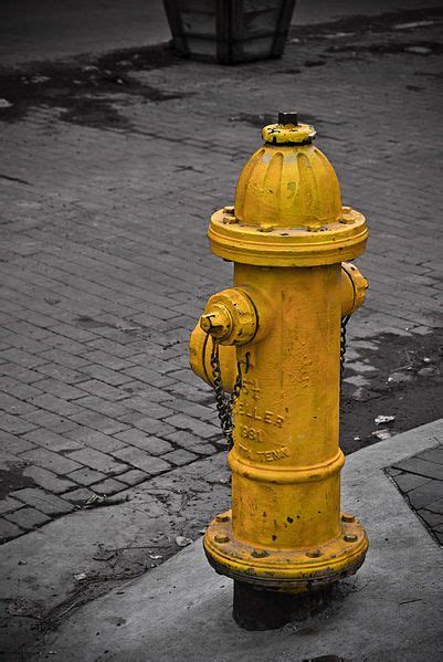 More images for yellow fire hydrant » Yellow Fire hydrant / wiki commons | Hydrant, Fire hydrant
