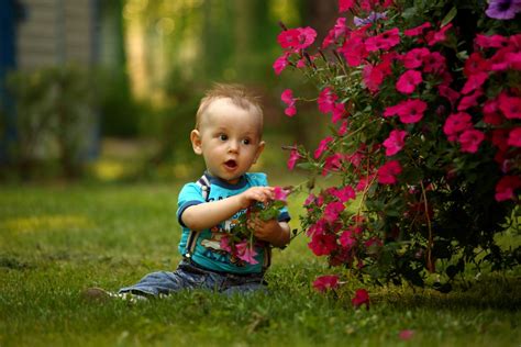 Fotos Gratis Césped Persona Gente Planta Prado Jugar Flor