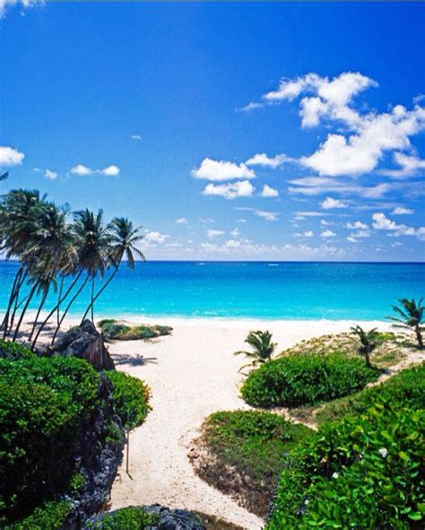 269 Best Barbados Beaches The Caribbeans Best Images On Pinterest
