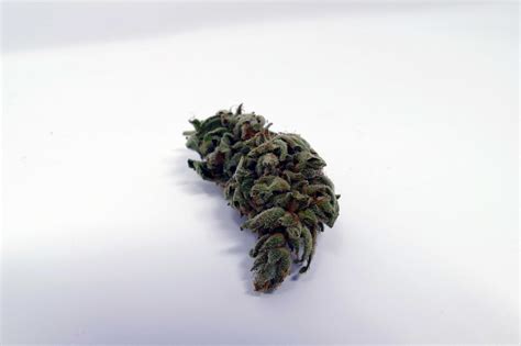 Gorilla Glue 4 Cannabis Strain Information And Review Ismoke