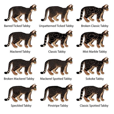 Black stripes ranging from coal black to brownish on a background of brown to gray. Cat Genetics Guide: Tabby Patterns — Weasyl