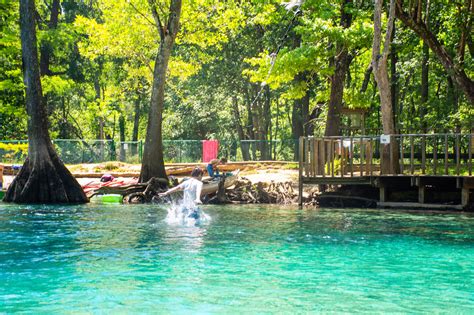 Canoe Or Kayak To Cypress Springs In The Florida Panhandle