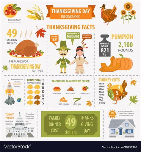 Thanksgiving Day Interesting Facts In Infographic Vector Image
