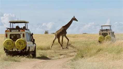 Nairobi National Park Day Tour Predators Safari Club