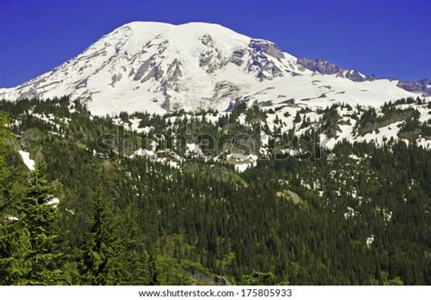 Mount Rainier Dormant Volcano Cascades Near Stock Photo Edit Now