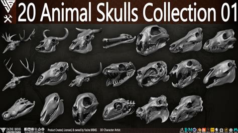 Yacine Brinis Collectible Studios 20 Animal Skulls Collection 01