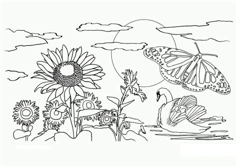 Https://tommynaija.com/coloring Page/adult Coloring Pages For Summer