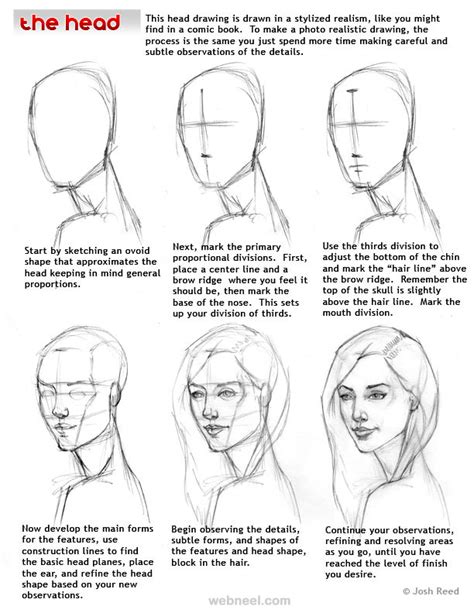 Face Drawing 16 Preview