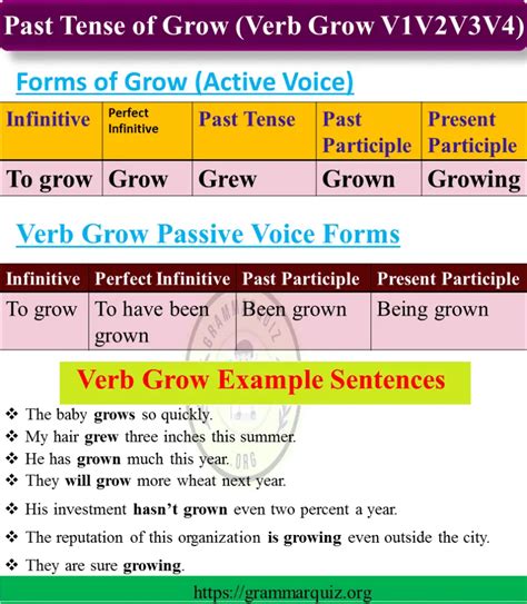 Past Tense Of Grow Past Participle Of Grow With Example Conjugation