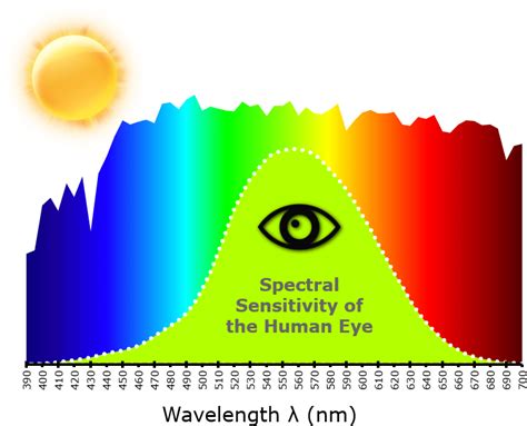 The Language Of Visible Spectrum Eye Sensitivity Clipart Large Size Png Image Pikpng