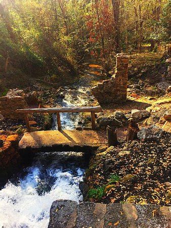 Poinsett state park campground has 50 campsites including 24 sites with individual water & electrical hookups and 26 tent sites. Poinsett State Park (Wedgefield, SC): Top Tips Before You ...