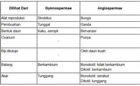 Perbedaan Angiospermae Dan Gymnospermae Teknowarta