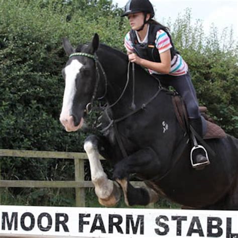 Young Equestrians Moor Farm Stables