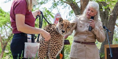 Joan Embery On Why Zoos Are Good For Conservation