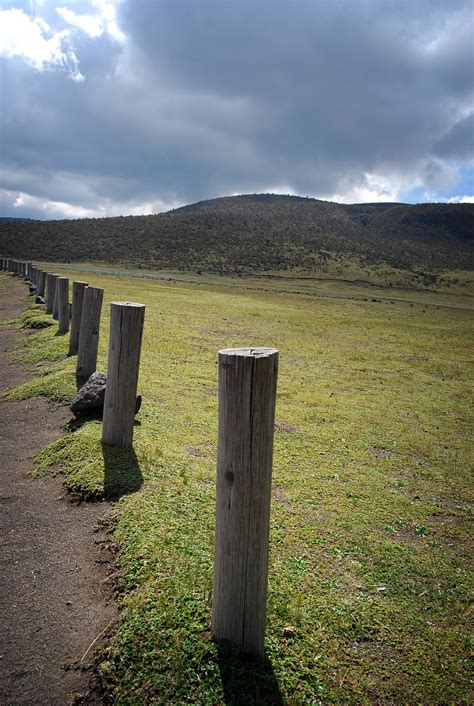 Free Images Landscape Tree Nature Grass Wilderness Mountain