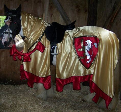 Horse Costumes Horses Jousting