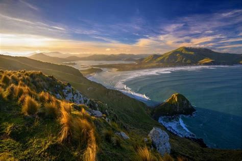 Buy Sunset Beaches Grass New Zealand Sea Mountains